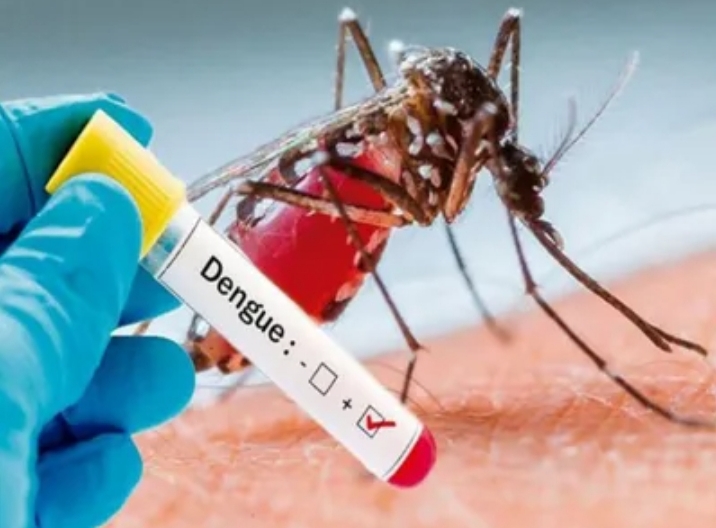 जिले में डेंगू ने पैर पसारे, अब तक मिले 66 मरीज