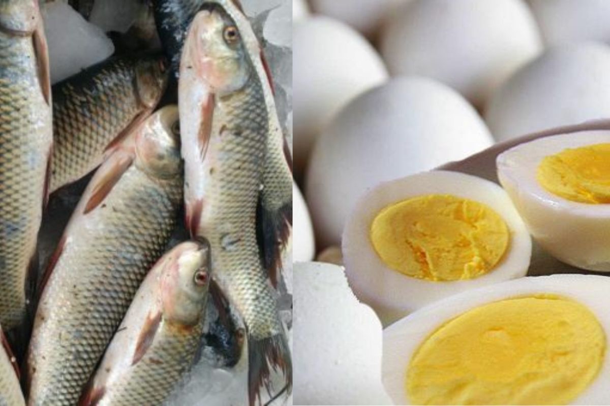 अंडे के साथ कभी न खाएं ये चीजें, हो सकती है कई बीमारियां 